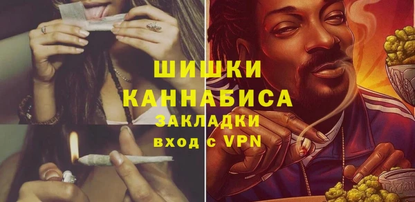 амф Надым