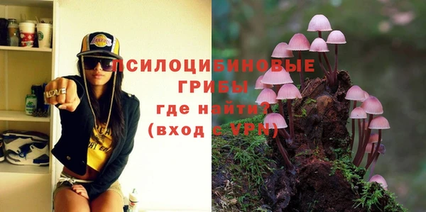 амф Надым