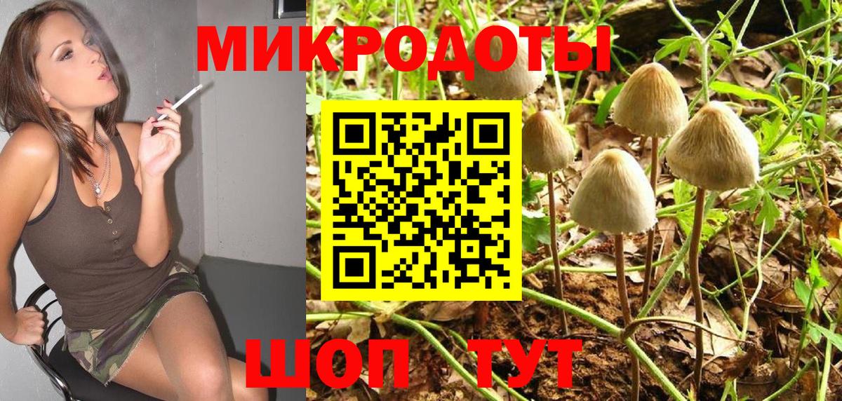  COCAIN Лосино-Петровский