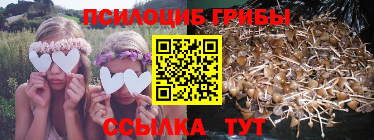 Псилоцибиновые грибы Magic Shrooms Лосино-Петровский