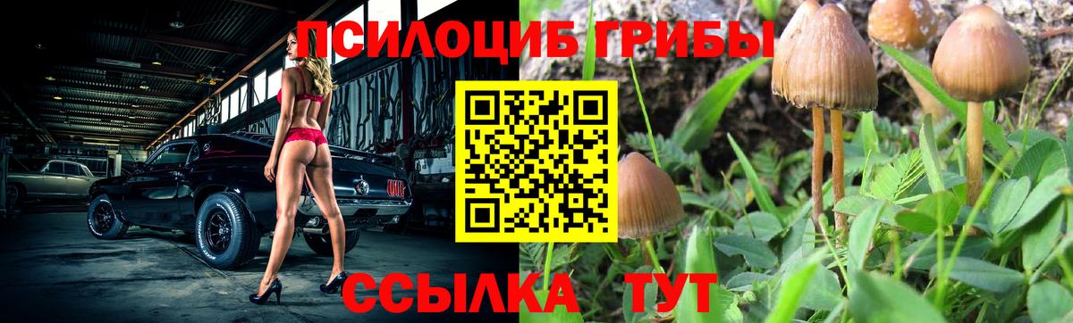 Лосино-Петровский  Галлюциногенные грибы прущие грибы  Вход с VPN  Галлюциногенные грибы ЛСД 